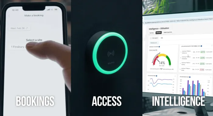 Explainer Videos